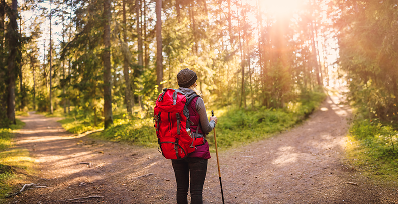 Personne vue de dos, face à un sentier qui se sépare en deux