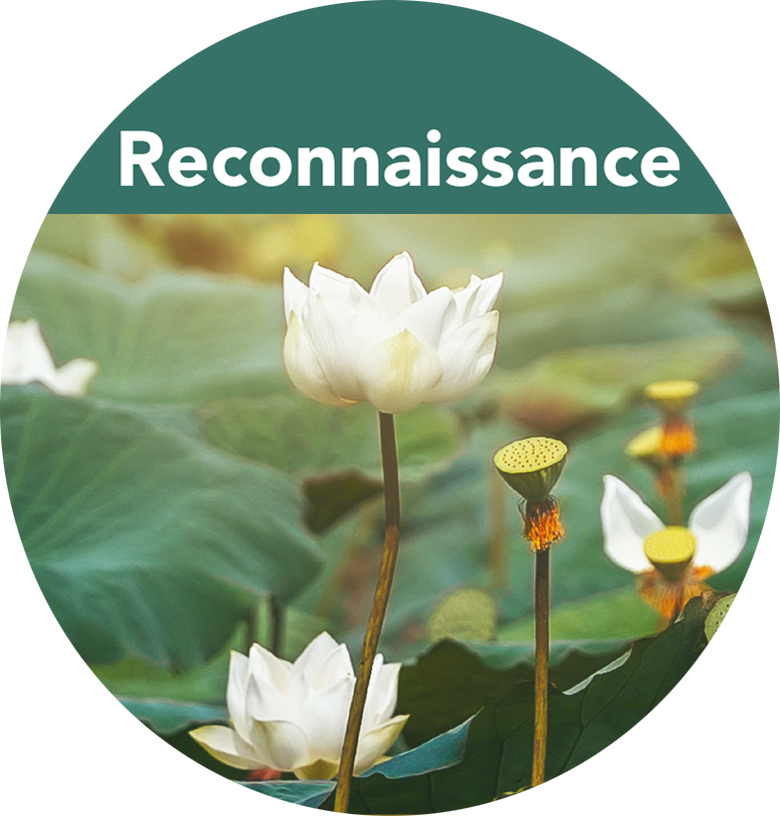 Reconnaissance